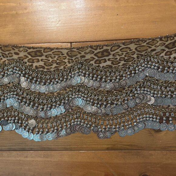 Belly Dancers Hip Scarf - Picture 1 of 2